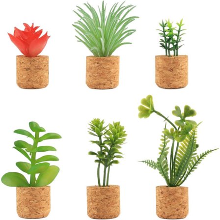 Wresty Kaktus Kjøleskapsmagneter Mini Søte Sukkulenter Kjøleskapsmagnet Knapp Dekor Tilbehør til Hjem Kjøkken Kontor (6
