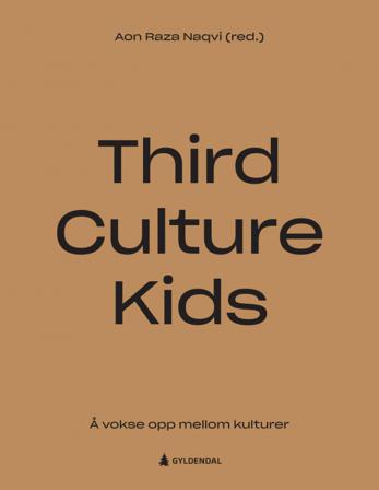 Third culture kids - Bok - Hardback