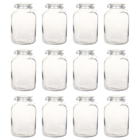 Vidaxl Syltburkar I Glas Med Lock 12 St 5 L Transparent