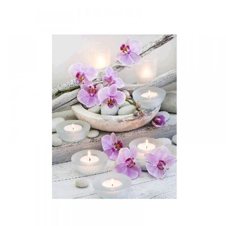 5D Timantti-kirjonta Orkidea DIY-maalaus Ristinompelu Hartsikoriste Koti Olohuone Makuuhuone