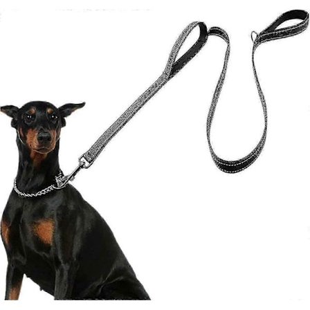 Stor Hundsele med Koppel - 1,8 m Långt, 2 Vadderade Handtag för Extra Kontroll & Reflexprickar för Säker Nattvandring