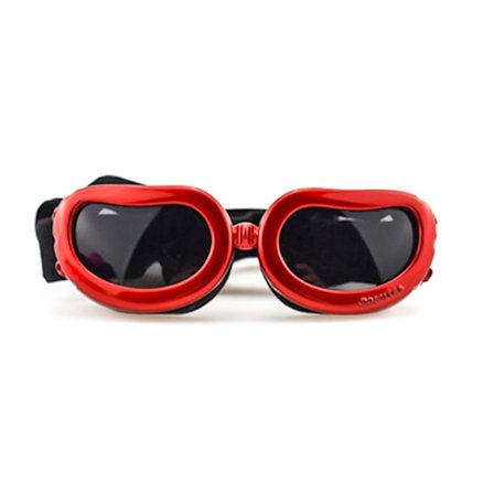 Hundebriller Pet Solbriller RØD