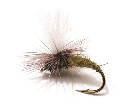 Klinkhammer Olive TMC 2487 #12