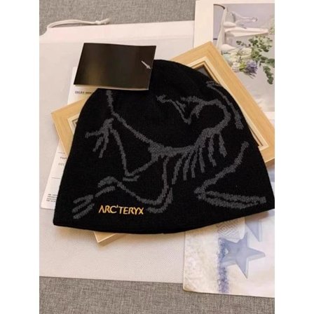 ARC'TERYX Lue Herre Casual Varm Vinter Skilue A