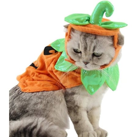 Katt Gresskar Kostyme-Halloween Katt Kostyme Dresser Klær Hodebånd Festival Gresskar Kostymer for Hunder Katter