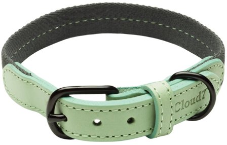 Cloud7 Dog Collar Madeira kaulapanta, L-XL, Mint