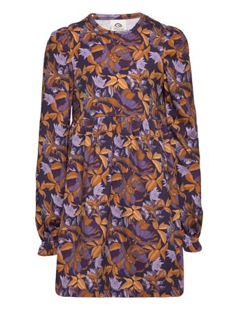 Villosa L/S Dress Dresses & Skirts Dresses Casual Dresses Long-sleeved Casual Dresses Multi/mønstret Müsli By Green Cotton