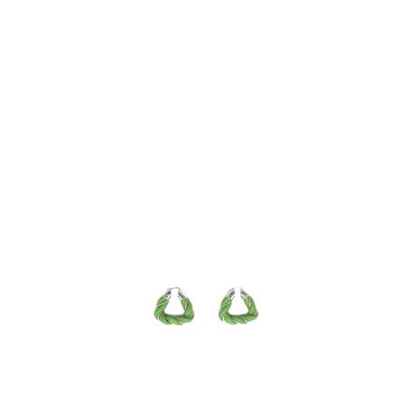 Bottega Veneta Earrings , Groen , Dames , Maat: ONE Size