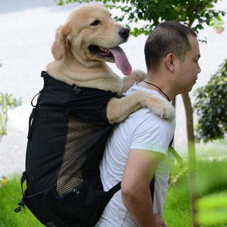 Bärväska, Ryggsäck För Hund - S, Svart Svart