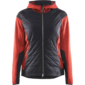 Hybridjacka Dam 5931*