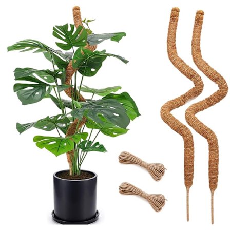 Mossastav Bøjbar 70-100cm, Plantestøtte / støttestav – Klatreplanter, 1 / 2-pakke