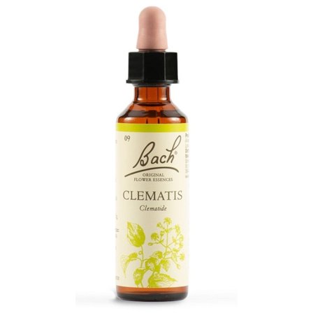 Clematis Bach Original Flower Essences 20ml