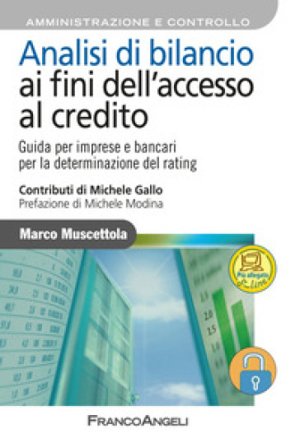 Analisi di bilancio ai fini dell'accesso al credito. Guida per imprese e bancari per la determinazione del rating. Con aggiornamento online Marco 