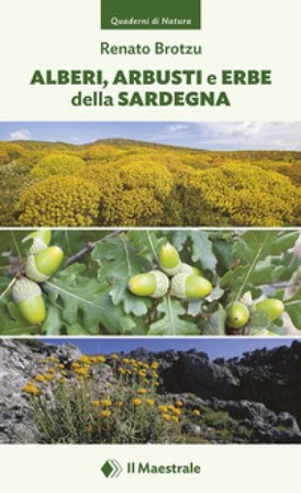 Alberi, arbusti e erbe della Sardegna. Ediz. a colori Renato Brotzu