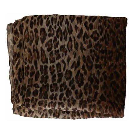 Dolce & Gabbana, Scarves Bruin, Dames, Maat:ONE Size