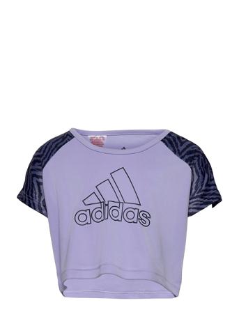Designed To Move Seasonal Tee W Purple Adidas Performance
