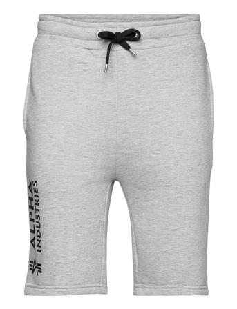 Basic Short Ai Grey Alpha Industries