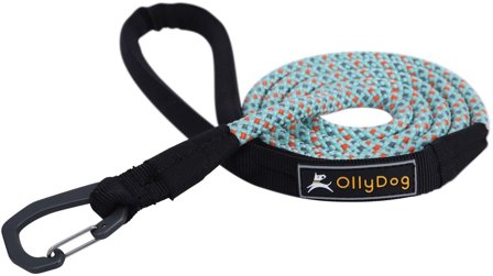 OllyDog OllyDog Mountain Leash talutin, vaaleansininen - OllyDog