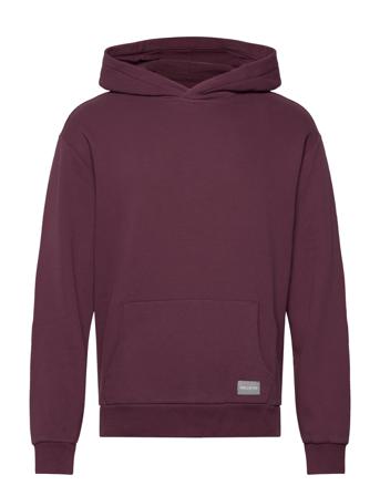 Hco. Guys Sweatshirts Huppari Liila Hollister