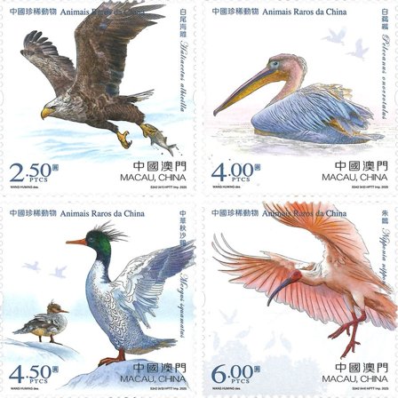 Macau - Sjældne dyr i Kina - Postfrisk sæt 4v