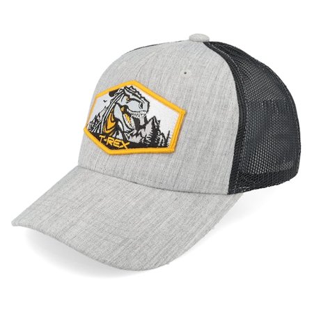 Kiddo Cap - Grijs trucker Cap - Kids T-rex Orange Patch Heather Grey/Black Trucker @ Hatstore