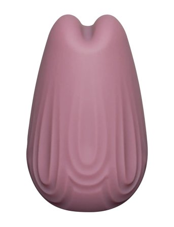 Amaysin Tulip Kiss Rechargeable Clitoral Vibrator Beauty Women Sex And Intimacy Vibrators Purple Amaysin