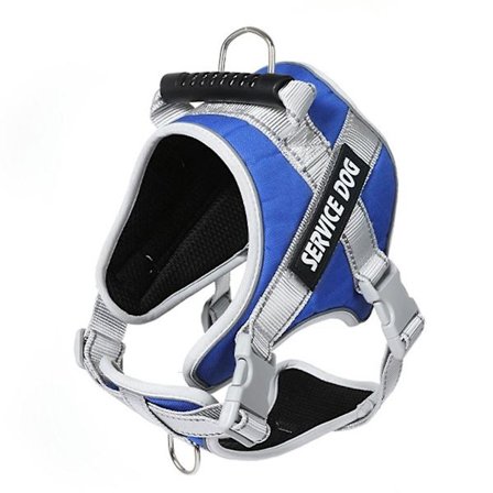 Hundsele och koppel Reflekterande hundselar för små hundar med namn