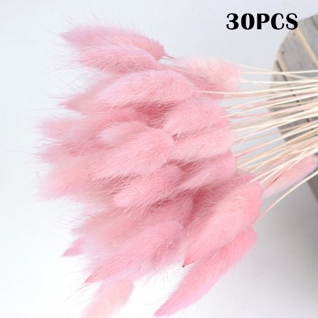 Färgglada torkade blommor evig bukett Riktiga blommor för heminredning Fotografi rekvisita 30 st/bunt