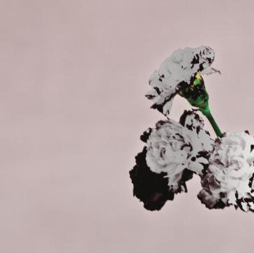 Love in the future (spec.edt.) John Legend