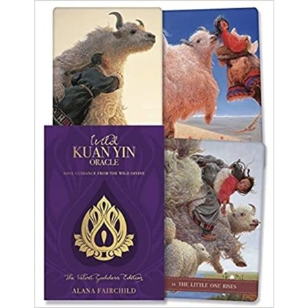 Wild Kuan Yin Oracle - Velvet Goddess Edition 9781922573308