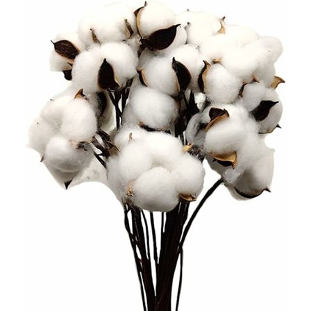 30 st torkade bomullsbollar Naturlig färg Vita bomullsbollar med pinne Perfekt för kransar Dekoration för lantligt hem