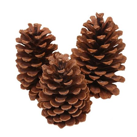 12 st Naturliga Kottar i Bulk, Julkottar Ornament för DIY Hantverk, Julgran, Höst Thanksgiving Heminredning$12 st Naturliga Kottar