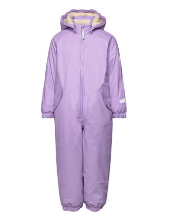 Paco Molo Purple