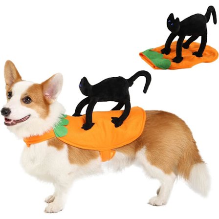 Hundekostume med Sort Kat Dekoration, Halloween Kostume til Små