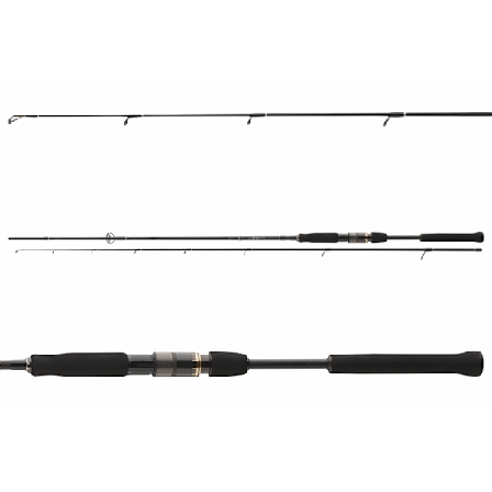 Spinningvapa Daiwa Airity Jigger 2,70m 8-35g
