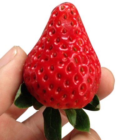 100 Kæmpe Røde Jordbærfrø Sød Indendørs Udendørs Altan Haveplantning