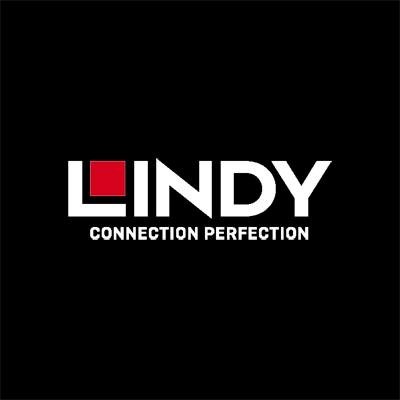 Lindy video adapter - DisplayPort / HDMI