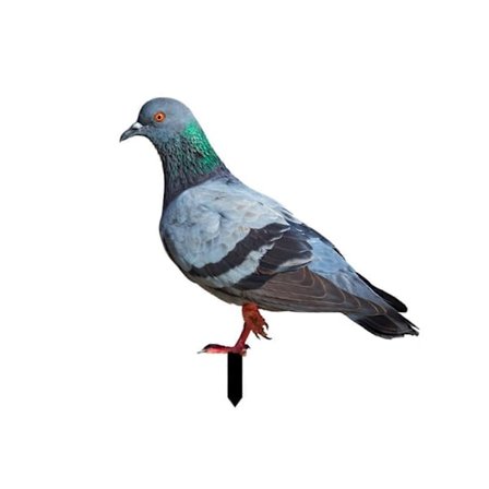 3D Kunstige Duer Havestatue Duefigur Realistisk Fuglestatue Duer Ornamenter til Bryllupsfest Haveindretning YKLU093B