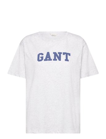 Graphic Ss T-Shirt GANT Grey
