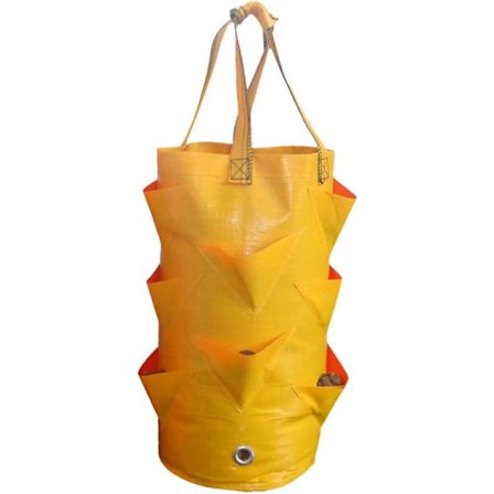 3 Gallons Plantepose, Hengende Jordbærposer, Plast Jordbærplanterposer