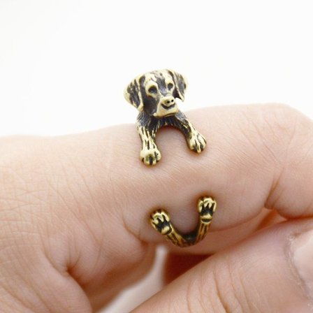 Ring Golden Retriver Hund Djur Animal Ring