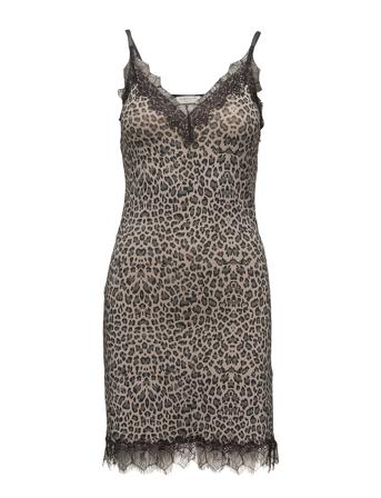Strap Dress Dresses T-shirt Dresses Brun Rosemunde