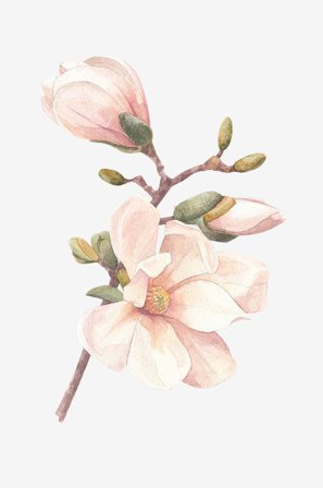 Venture Home - Juliste Hand made - Roosa - Julisteet - 30X40 - - Homeroom