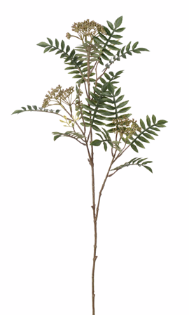 Mr Plant Kunstig Kvist Rogn H80