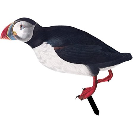 Hane Hagedekorasjon Utendørs Statuer Brud Skilt Hane Dekor Hage S