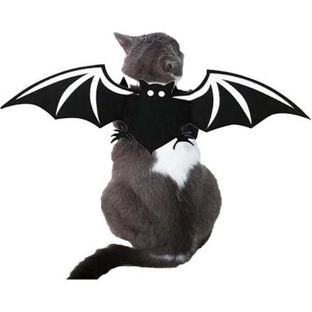Katt Kostyme - Bedårende og Mystiske Flaggermusvinger for Katt - Kjæledyrklær for Små Hunder og Katter, Hallo