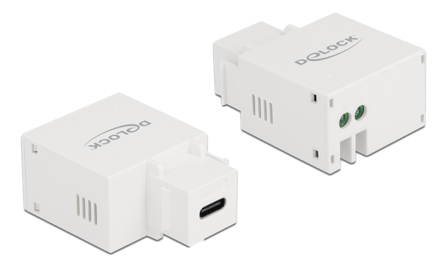 Delock strømadapter - USB-C - 10.5 watt