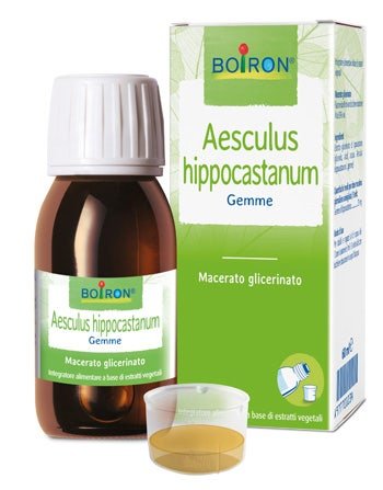 Aesculus Hippocastanum Macerato Glicerico 60ml