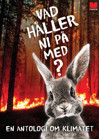 Vad håller ni på med? : en antologi om klimatet - Bok av Mats Jonsson, Torill Kornfeldt, m.fl. - Danskt band