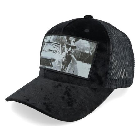 Calza Pennello - Svart trucker Keps - Boss Kangaroo Velvet Black A-frame Trucker @ Hatstore